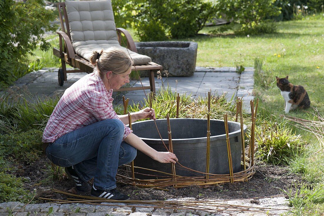 Mini pond with planted willow edging