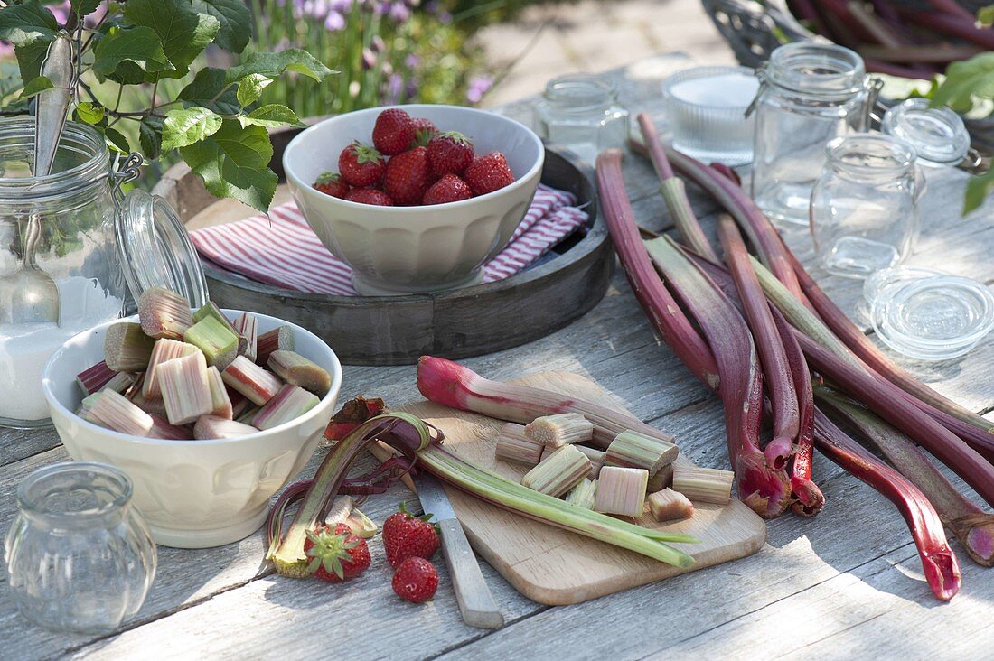 Frisch geernteten Rhabarber (Rheum rhabarbarum) mit Erdbeeren