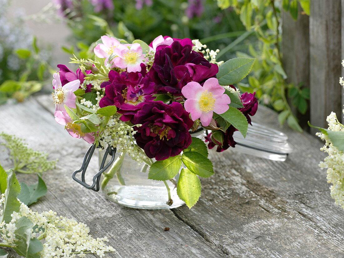 Small bouquet of Rosa rubiginosa, semiplena and 'Tuscany'