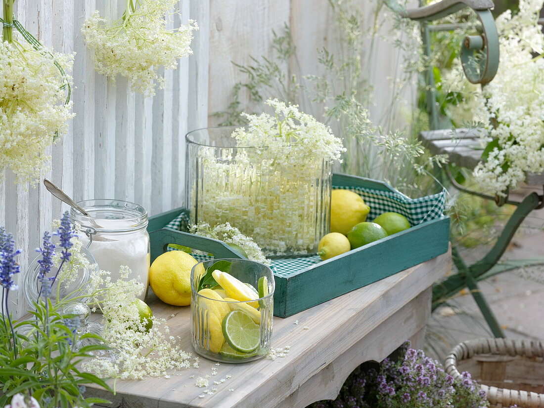 Ingredients for elderflower syrup