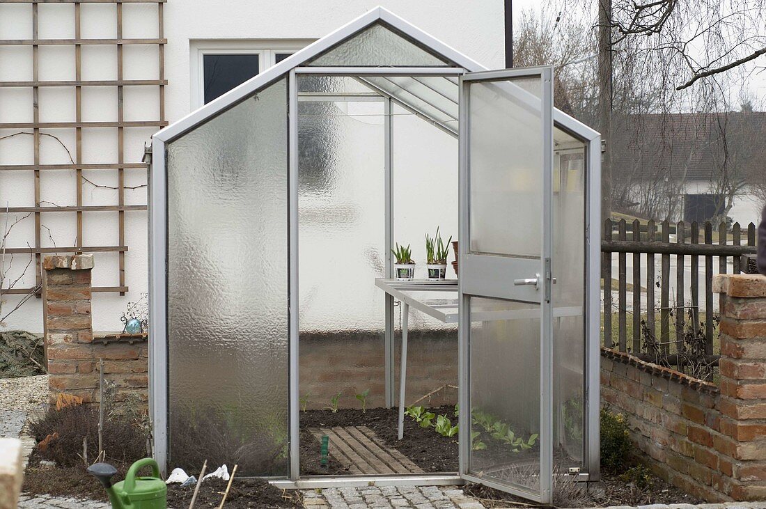 The first vegetables planted in the greenhouse