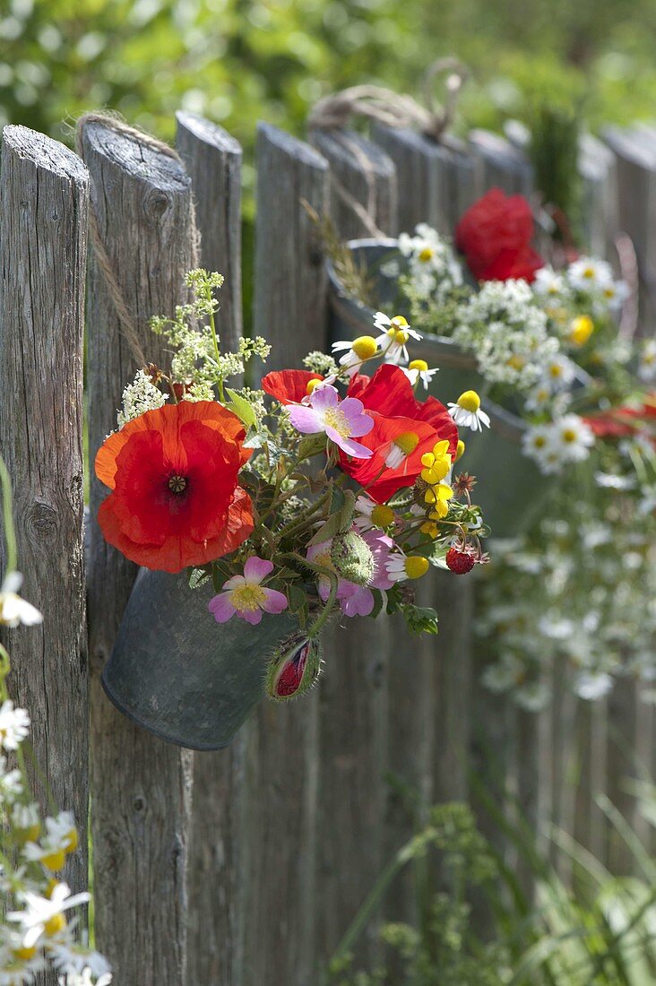 Small meadow bouquet in zinc cups hung on fence
