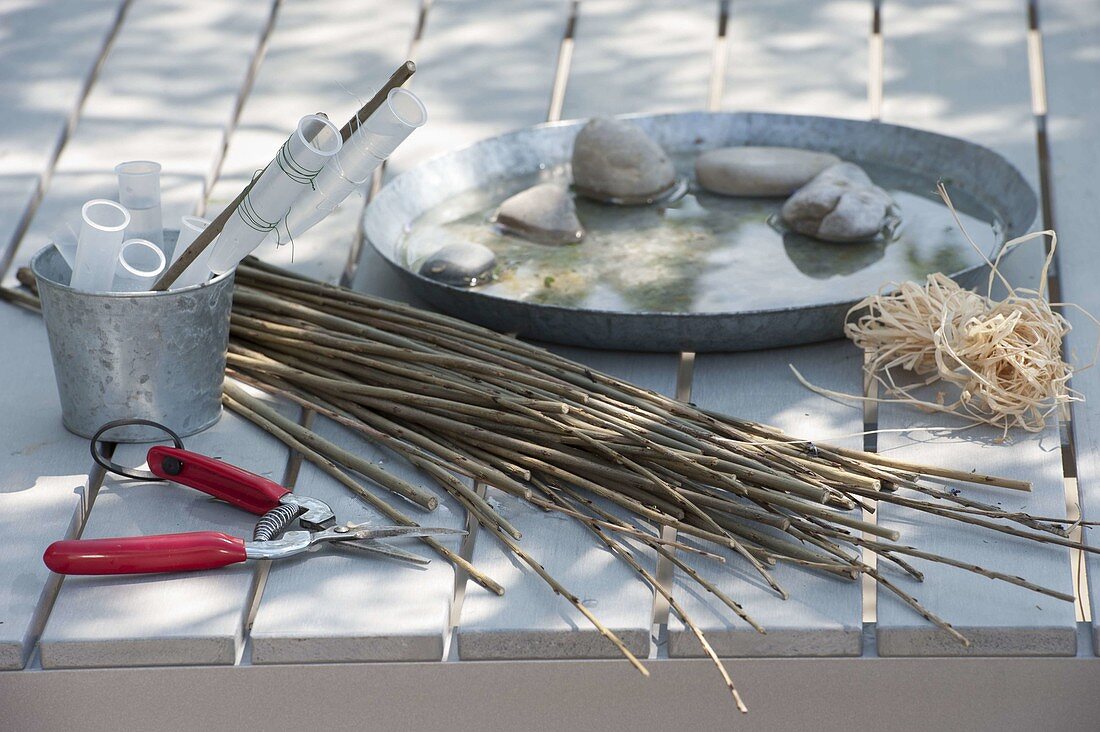 Bunch of stems with willow branches, mallows and lady's mantle