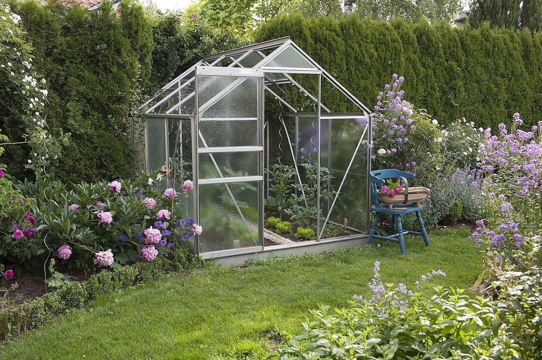 Greenhouse with tomatoes (Lycopersicon) and lettuce (Lactuca)