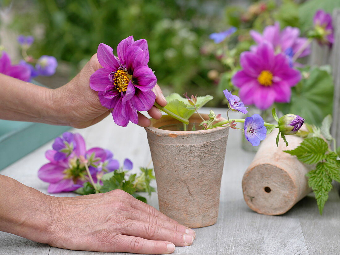 Small flower arrangement in terracotta pot (2/3)