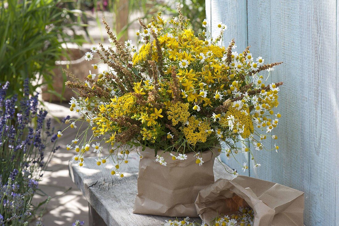 Yellow meadow herb bouquet