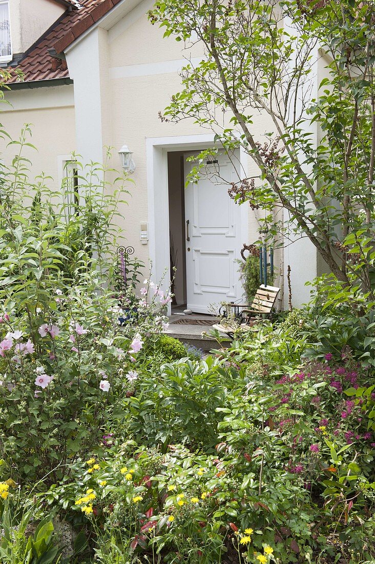 View over perennial bed to house entrance