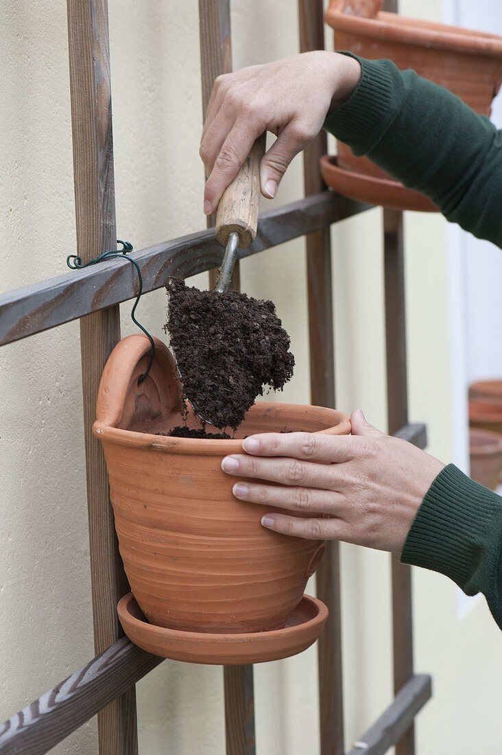 Planting wall hanging pots from terracotta 2/4