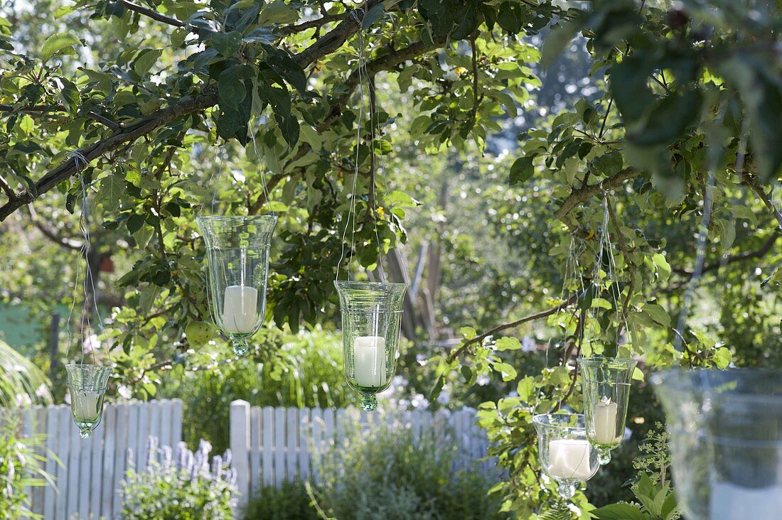 Glass bells hung upside down as lanterns