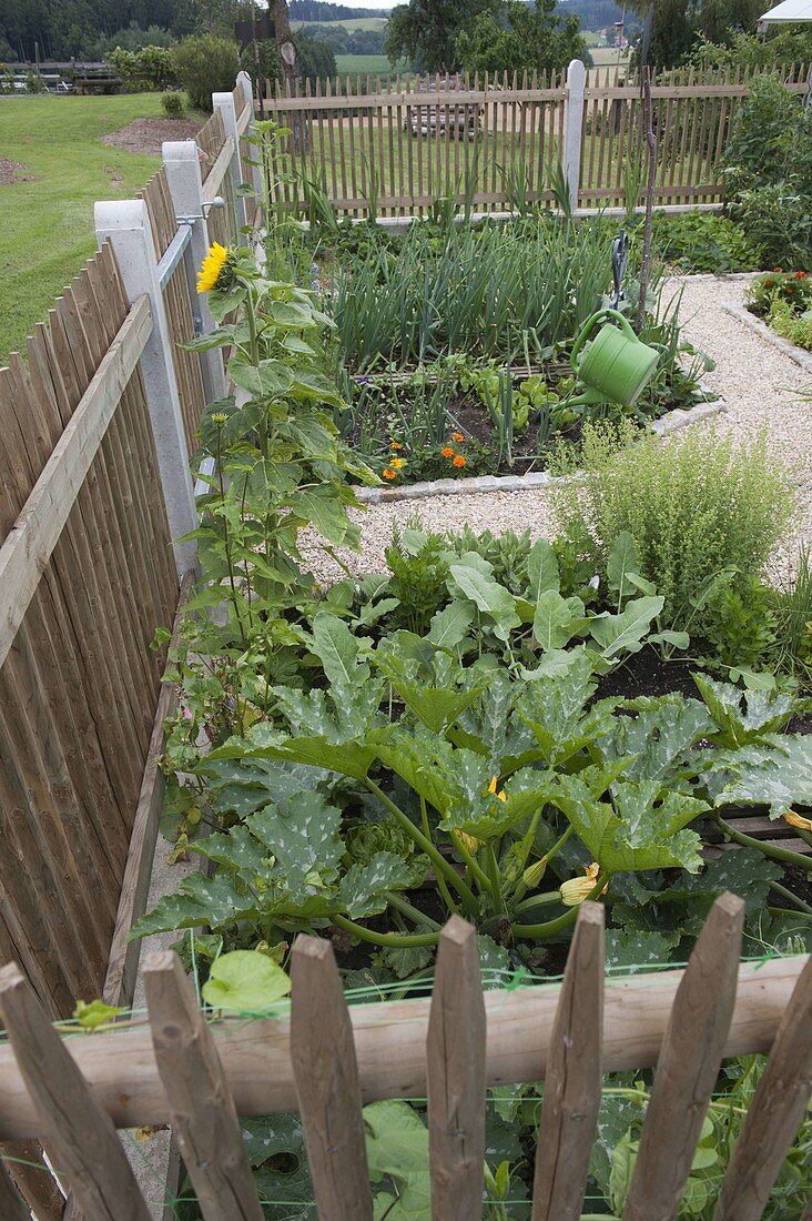 Country garden with Hanichel fence and gravel path