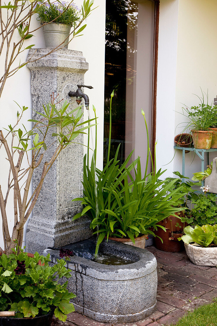 Terrace with wall fountain, Agapanthus (African Jewel Lily)