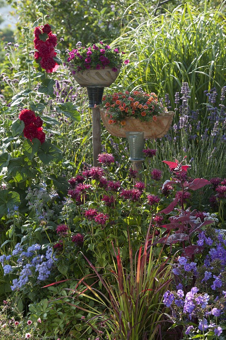 Hand-potted ceramic ships planted with Calibrachoa Celebration