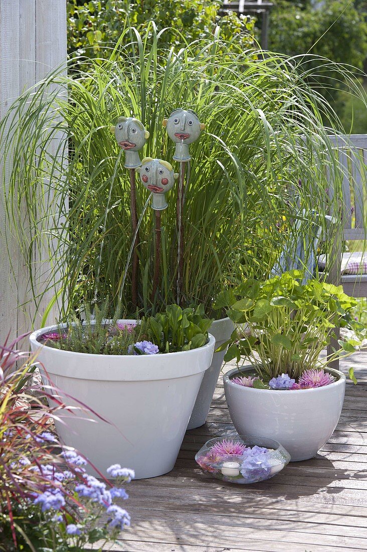 Mini ponds with water feature 'Spucaderos'