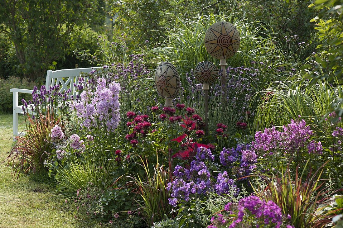 Bed with Monarda 'Cabridge Scarlet' (Indian nettle), Lavender