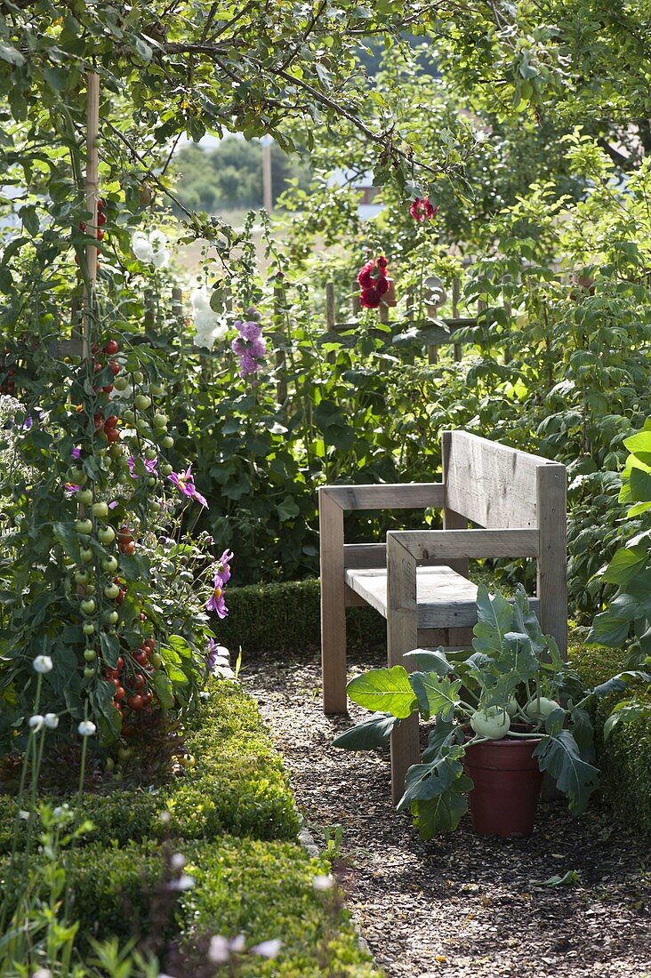 Seat in cottage garden