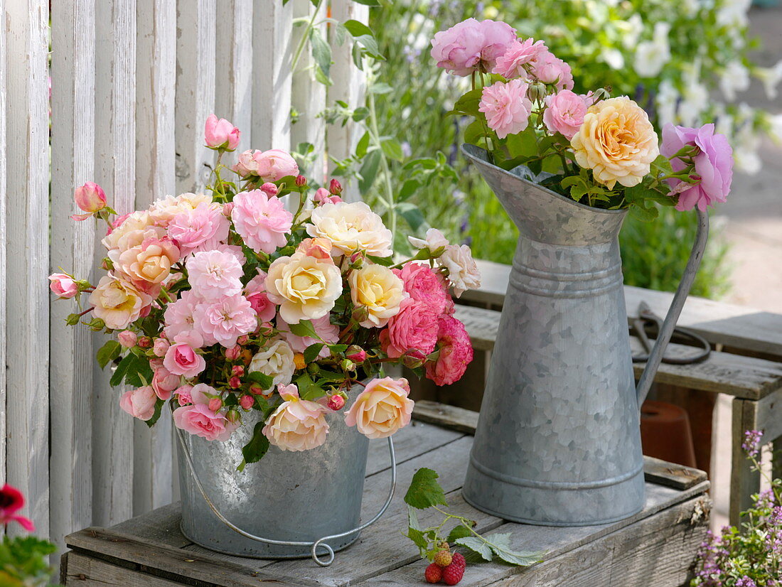 Tin bucket and jug of mixed pink (rose) from the garden