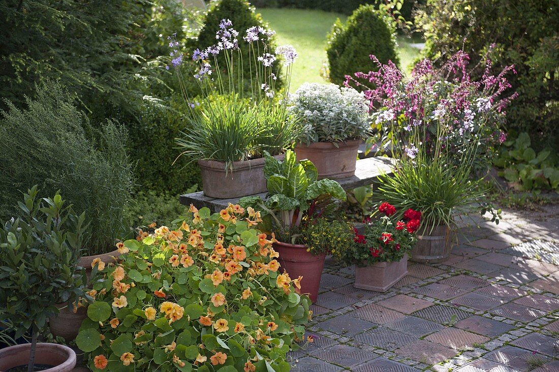 Skiving terrace with herbs and vegetables