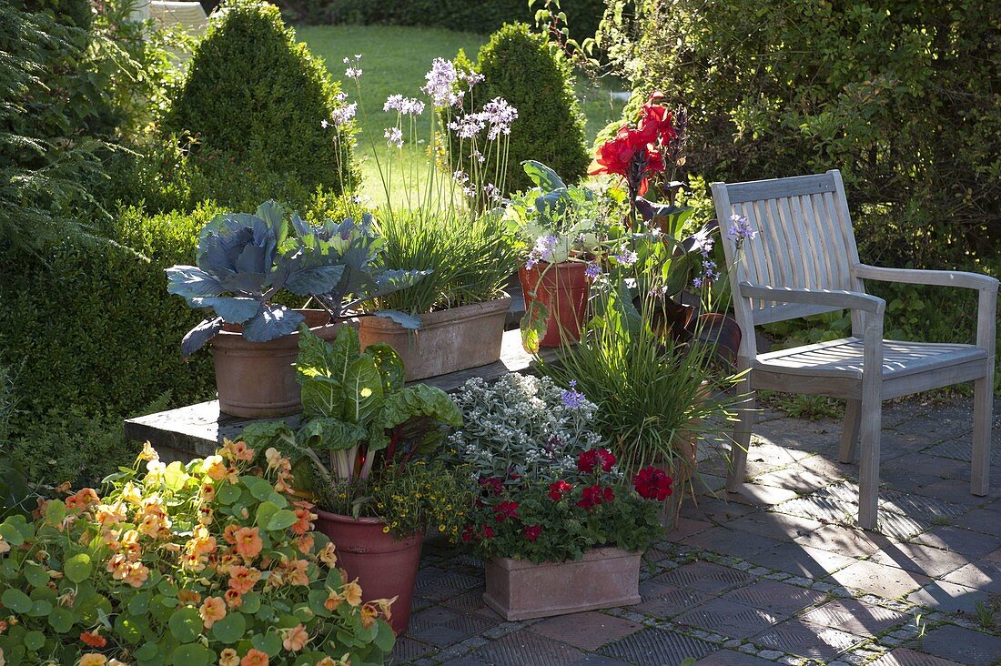 Snack terrace with herbs and vegetables