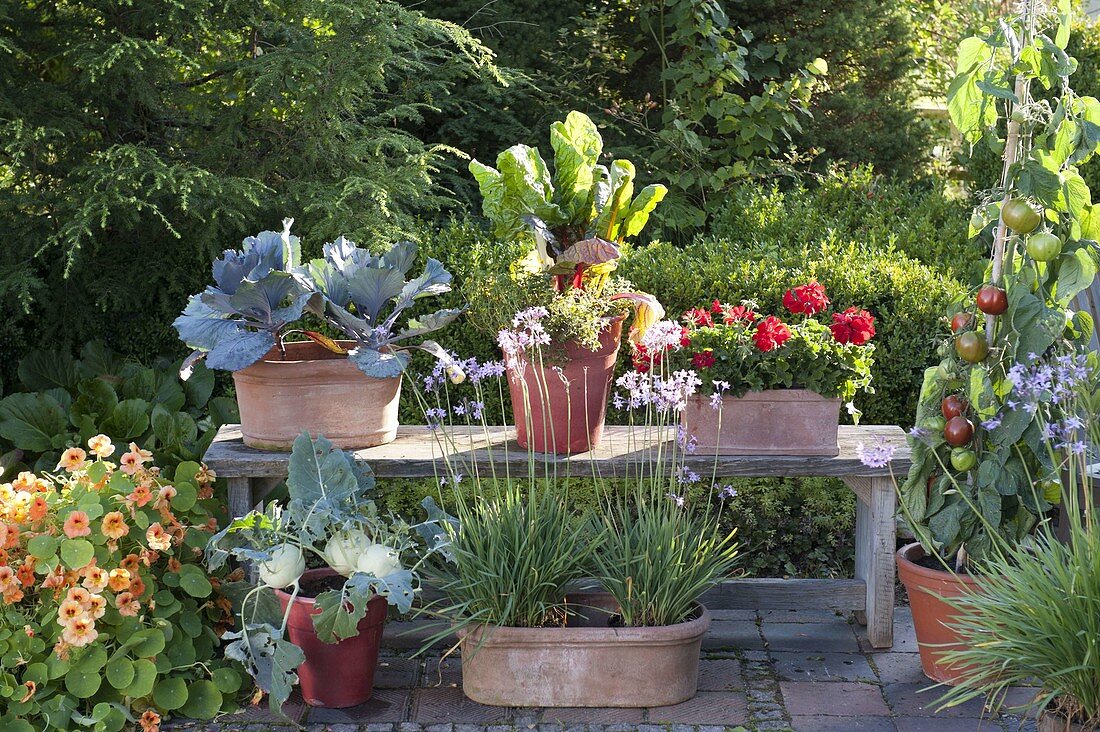 Snack terrace with herbs and vegetables