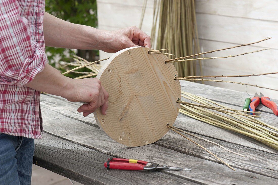 Make your own wicker basket for climbing plants (5/17)