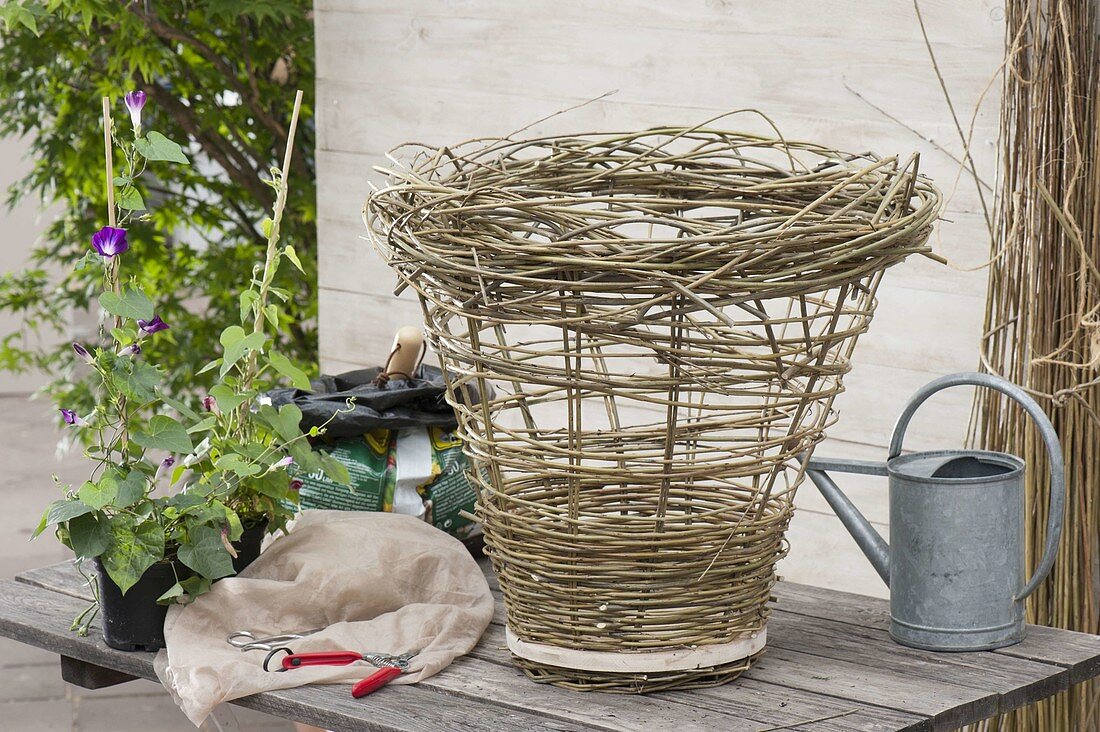 Make your own wicker basket for climbing plants (12/17)