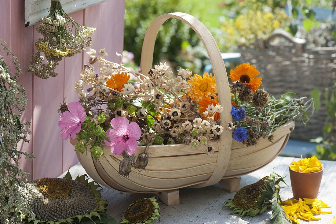 Spacer basket with freshly cut flowers with seed stalks