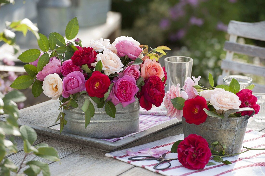 Mixed pink (rose) in zinc tubes