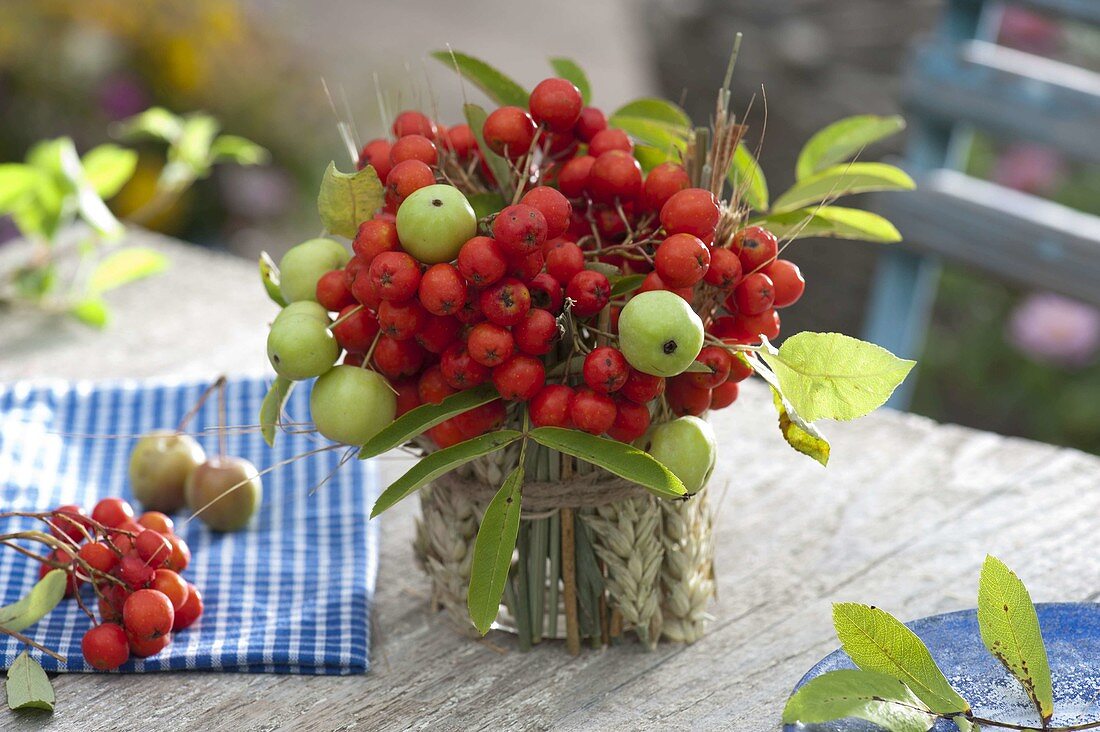 Kleiner Strauß aus eßbarer Eberesche, Vogelbeeren 'Edulis'