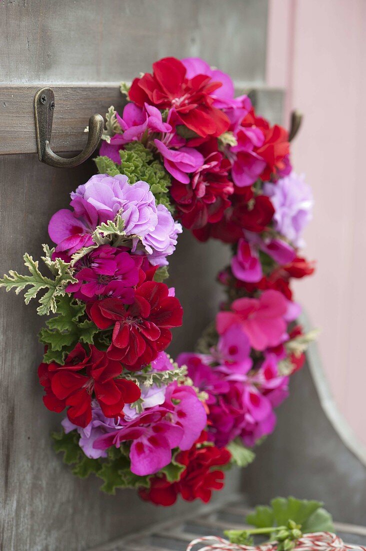 Kranz aus Blüten von Pelargonium (Geranien) und Blättern von Duftgeranien