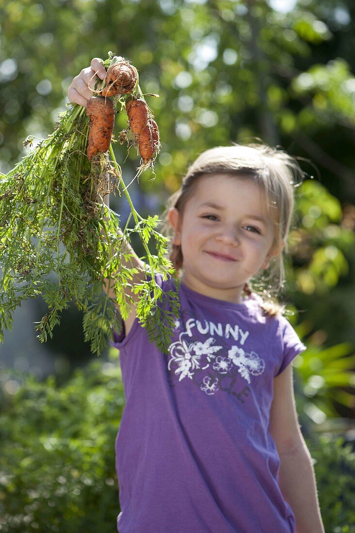 Girl with freshly harvested carrots (Daucus carota)