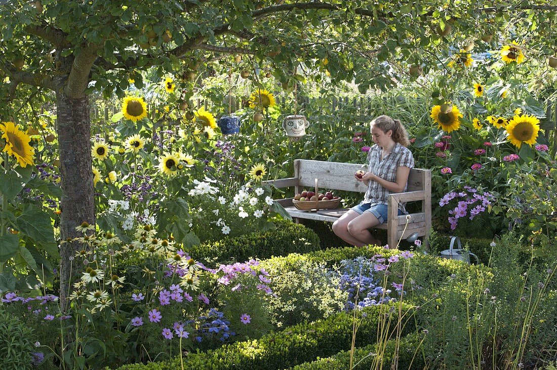 Farm garden with summer flowers and perennials under an apple tree