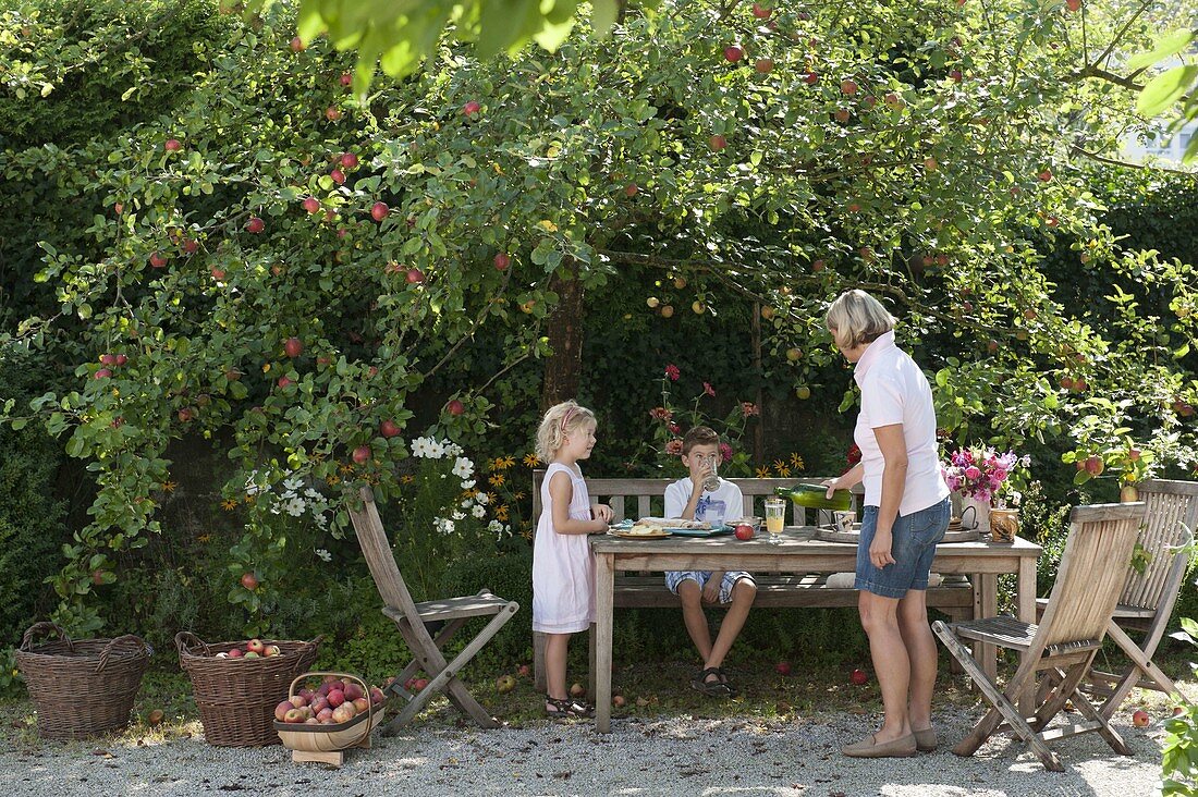 Family under the apple tree