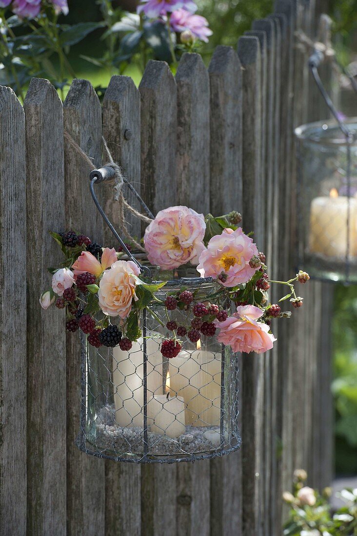 Glas in Drahtkorb als Windlicht mit Brombeerranke (Rubus) und Rosa
