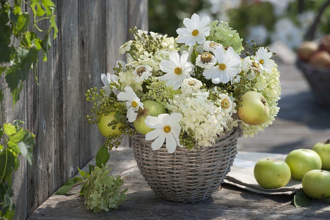 Green and white bouquet in basket vase: Zinnia (zinnias), Hydrangea (hydrangea)