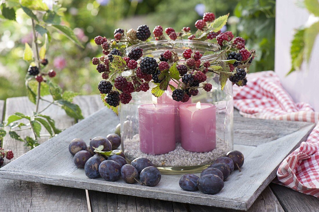 Wide glass as a lantern with a wreath of blackberries (Rubus)