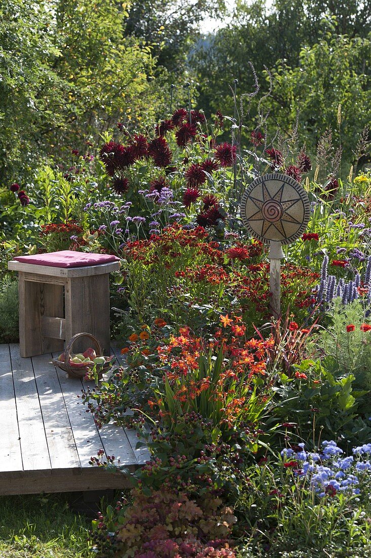 Red bed on wooden deck with dahlias and perennials