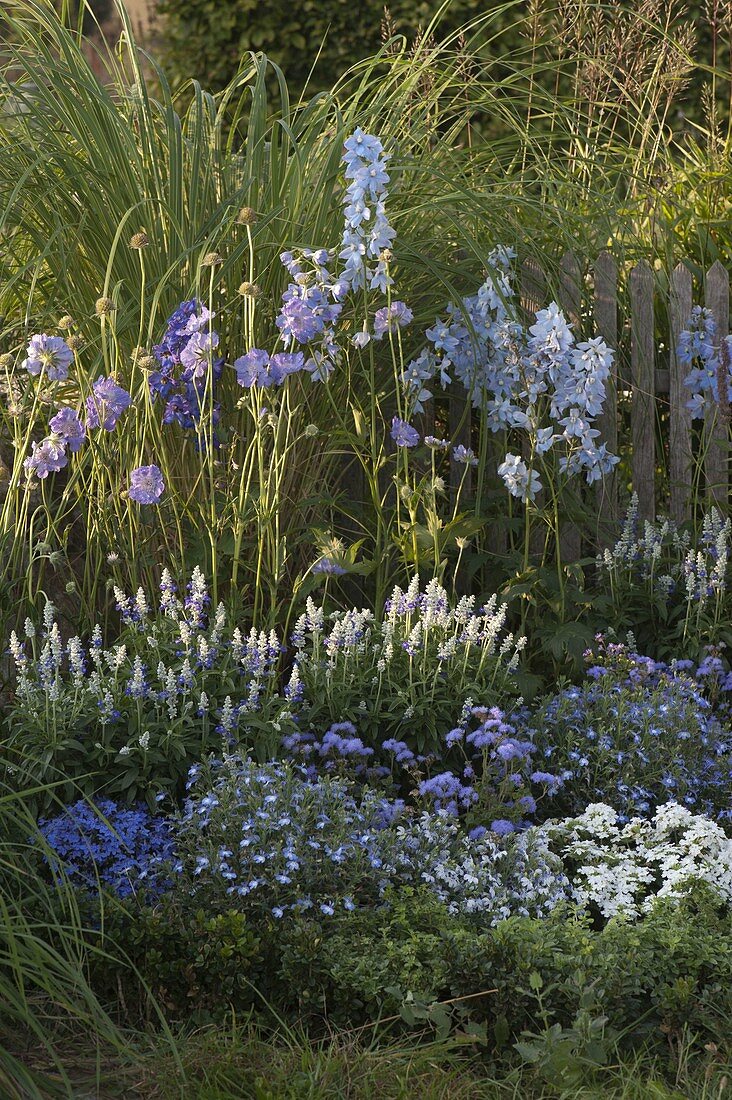 Blue and white bed by the fence