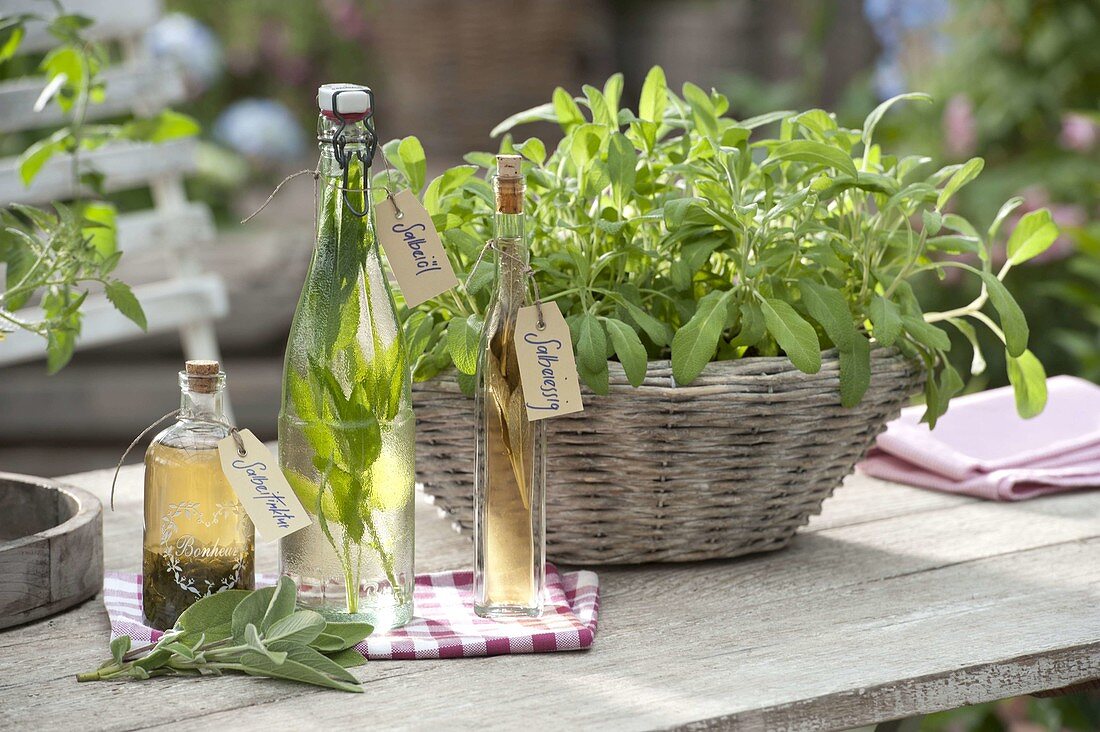 Plant the sage basket