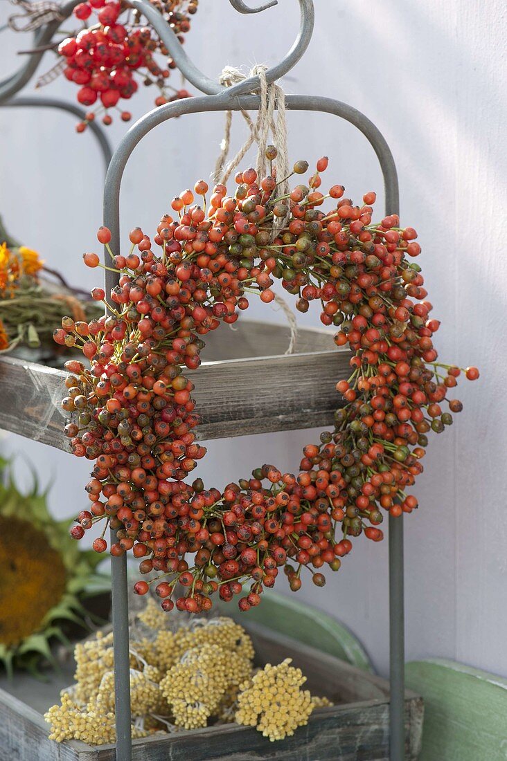 Wreath of pink (rose hips) hung on shelf