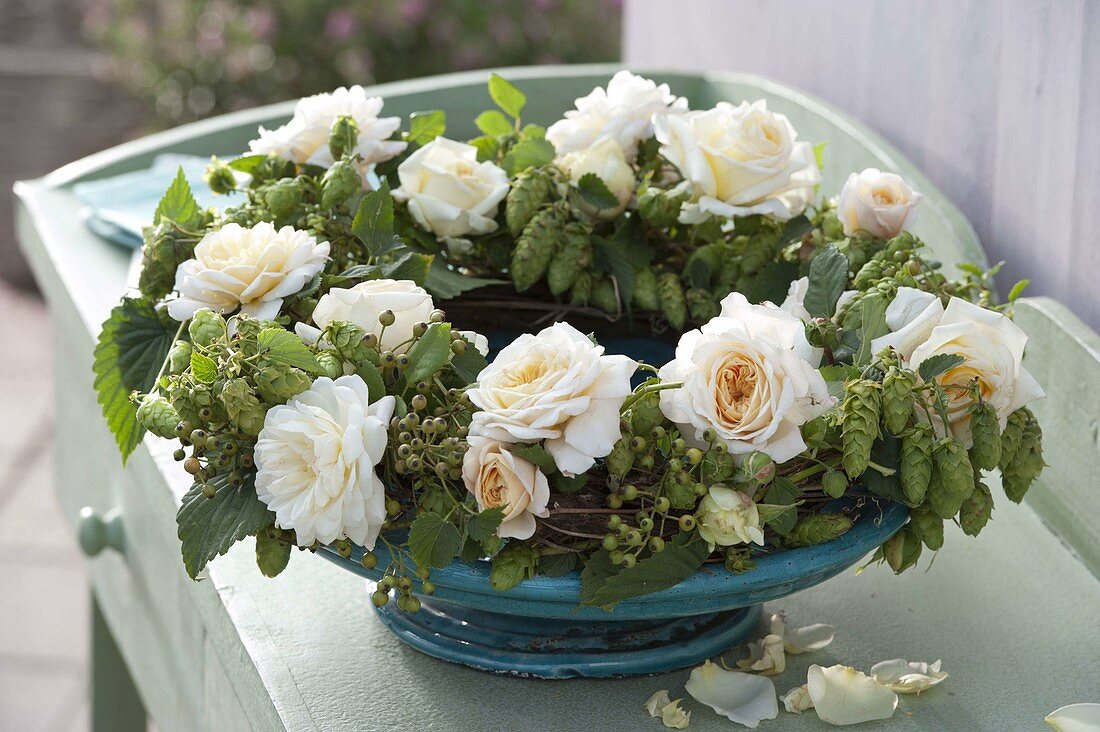 Late summer wreath of Humulus lupulus (hops), Rosa (roses)