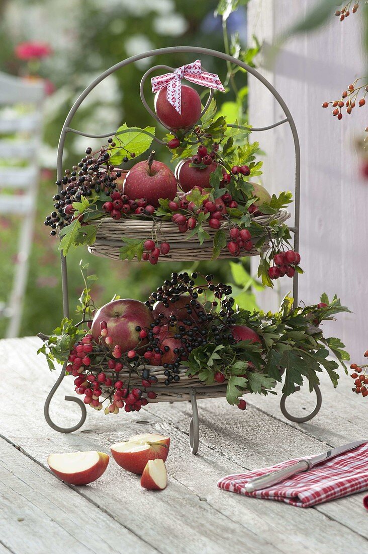 Metal shelves decorated with fruits and wild fruits