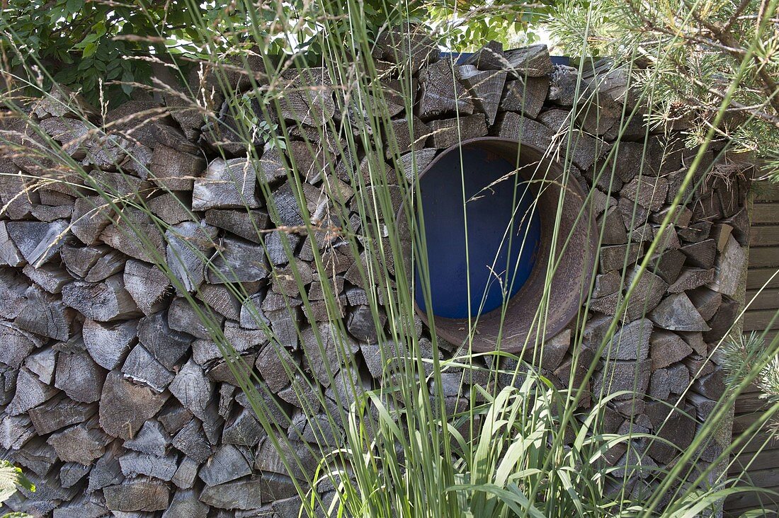 Wooden pile with iron ring as an opening to the privacy wall behind it