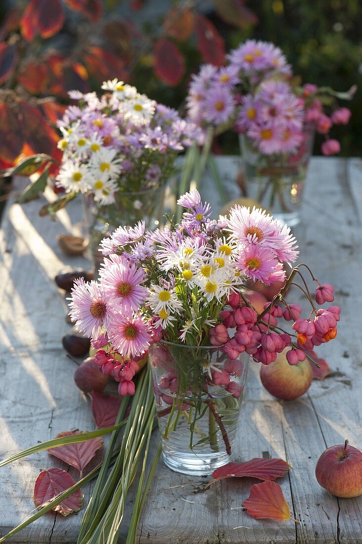 Kleine Sträuße aus Aster (Herbstastern) und Fruchtständen von Euonymus