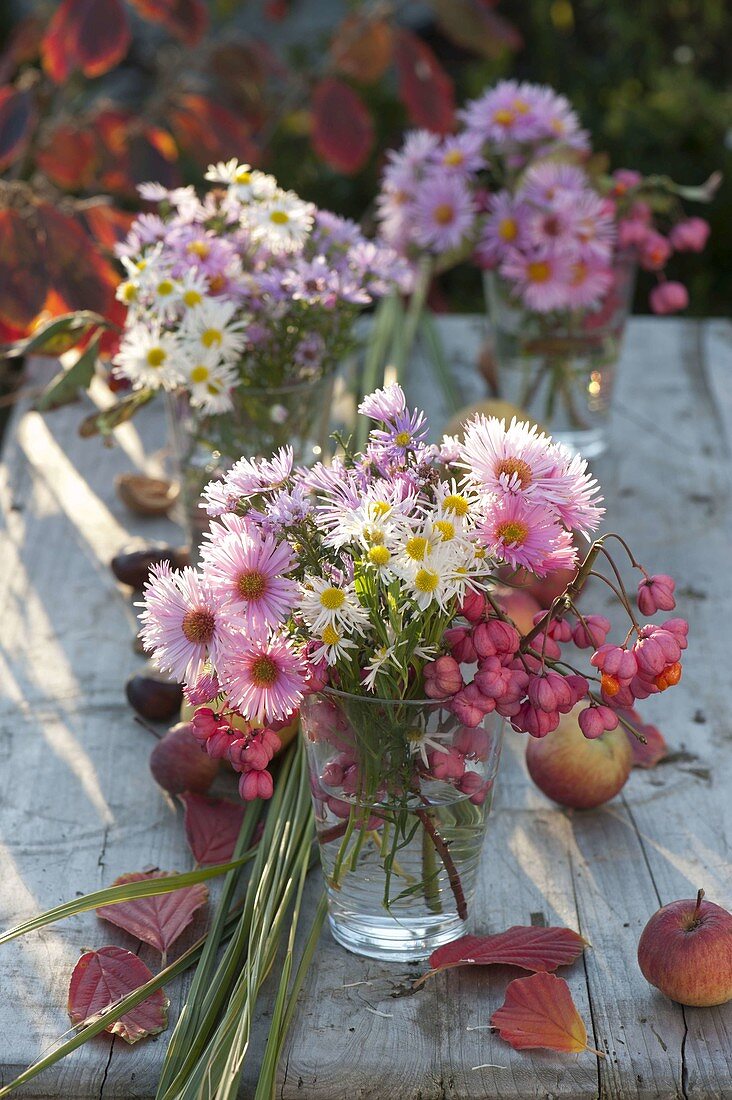 Small bouquets of Aster (autumn asters) and Euonymus fruit heads