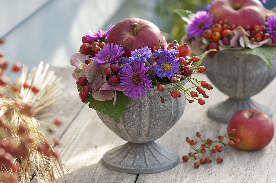 Kleines Gesteck mit Apfel (Malus), Aster (Herbstastern), Rosa (Hagebutten)