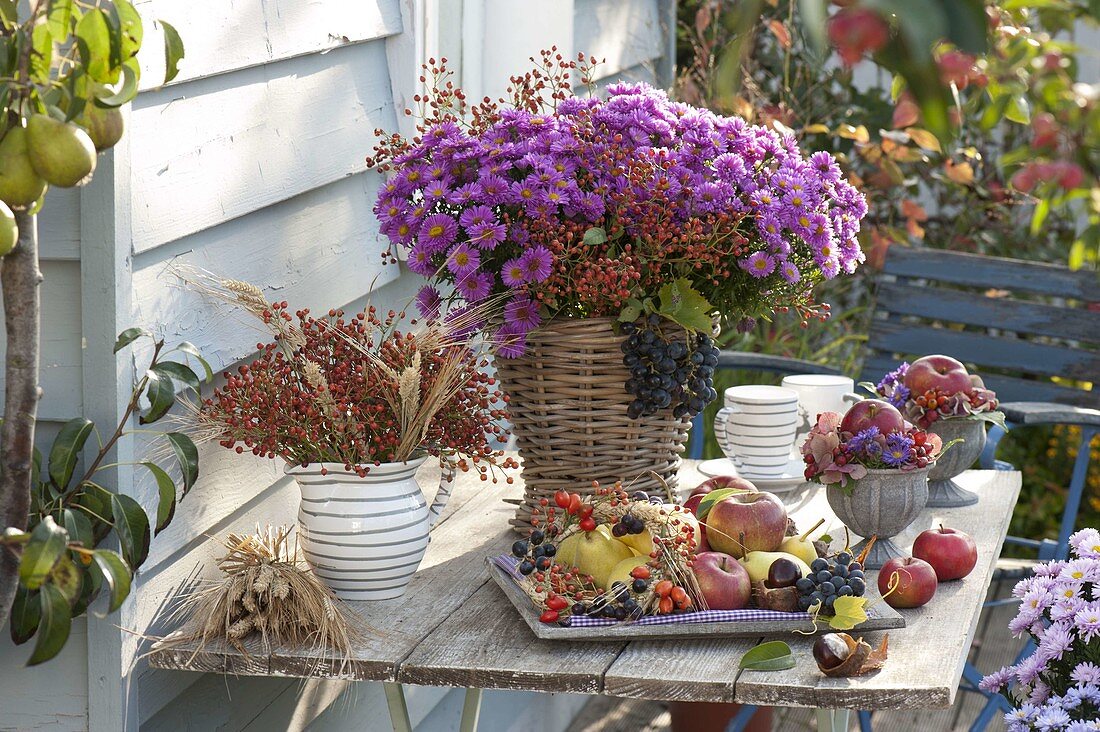 Thanksgiving table with bouquets of Rosa multiflora (mini rosehips), Aster