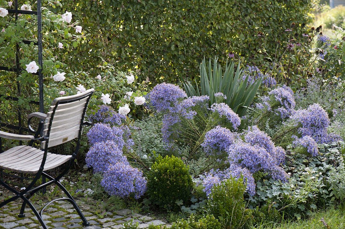 Small terrace with seating area and arbour in front of hornbeam hedge