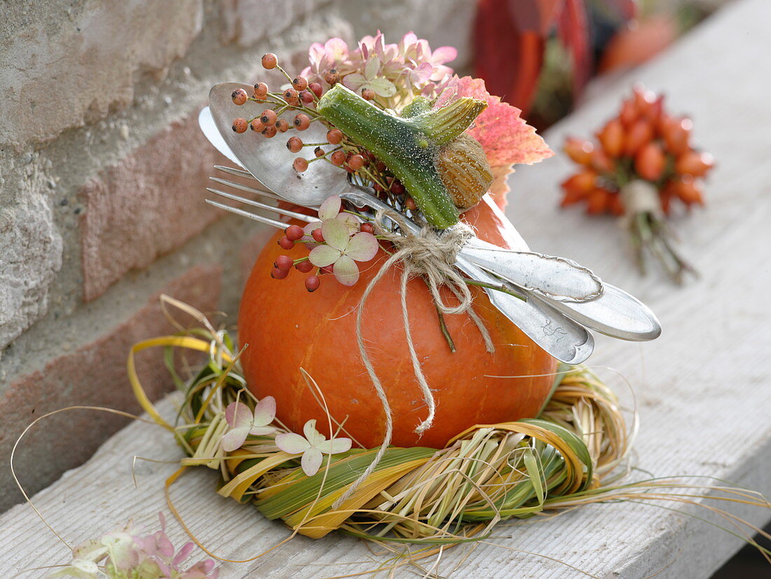 Hokkaido pumpkin as a gift