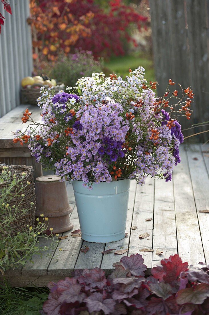 Üppiger Strauß aus Aster (Herbstastern) und Rosa (Hagebutten)