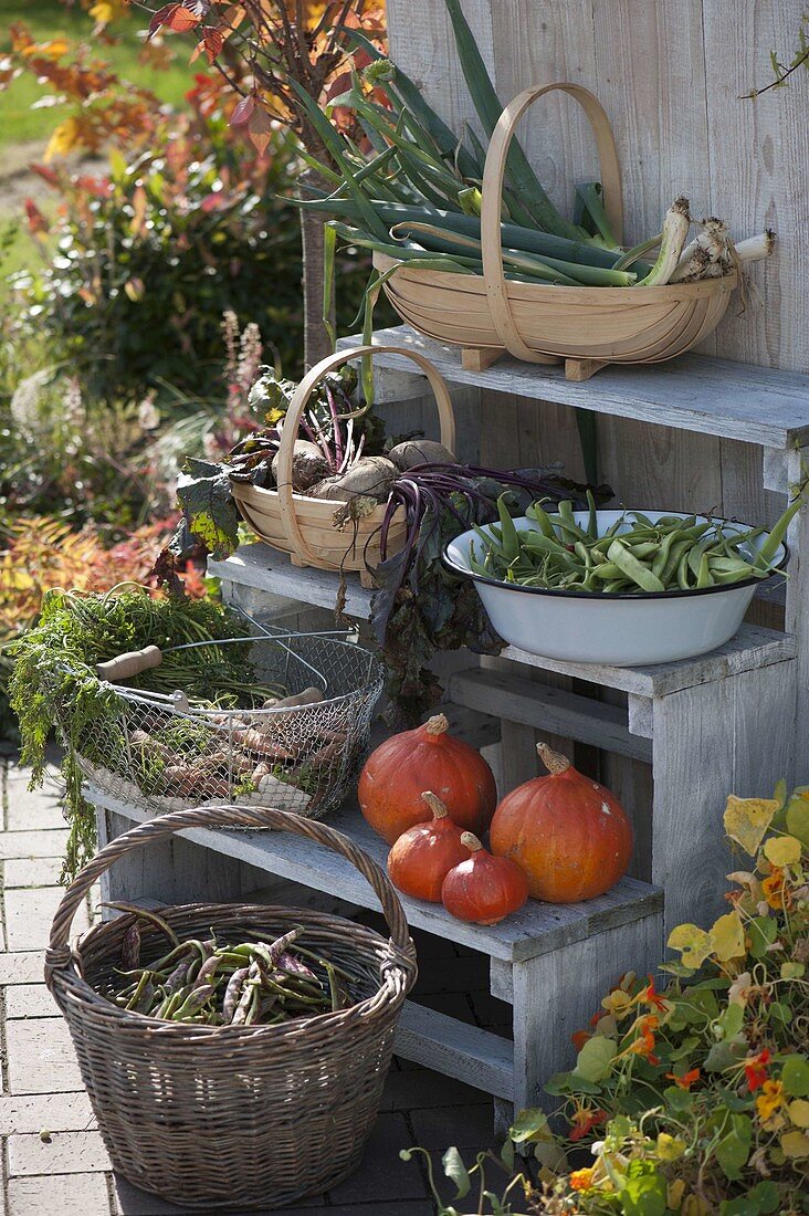 Baskets with vegetables - harvest from your own garden